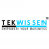 TekWissen Group logo